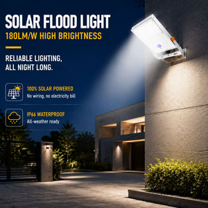Energy Saving DLC Listed 20W 40W 60W Solar Flood Light Dusk to Dawn