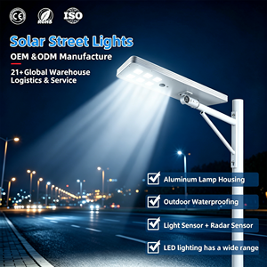 80W Integrated Solar LED Street Light Outdoor IP65 Waterproof Aluminum Housing with Optical Lens