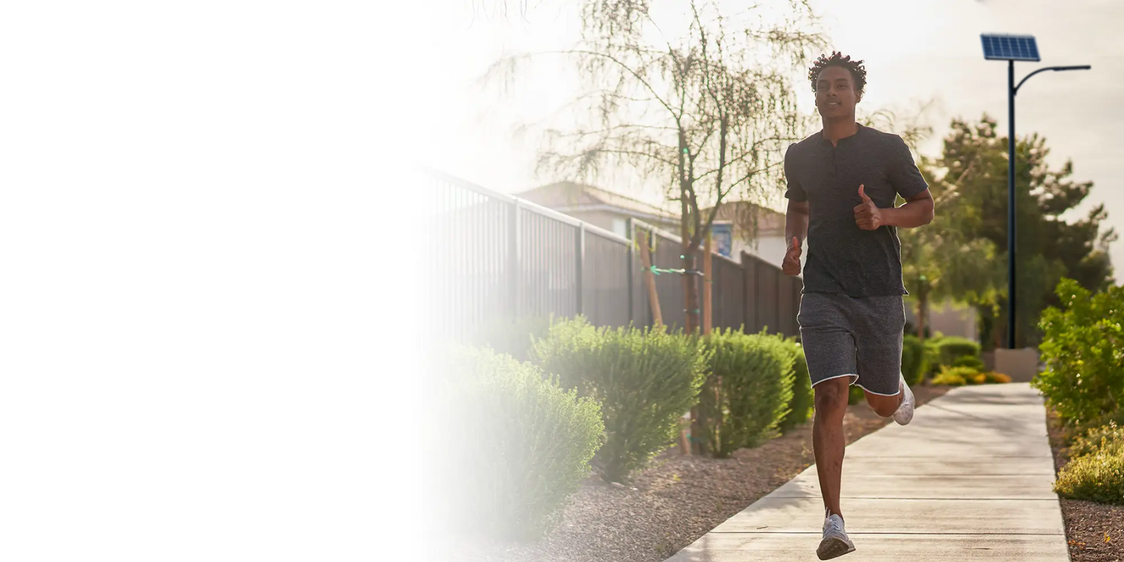Wildlife friendly off-grid solar streetlight illuminating residential running path