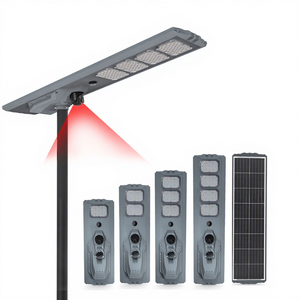 100W-400W Solar Street Light With Camera