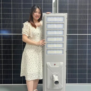 Municipal Outdoor IP66 Road Lamp Single Arm