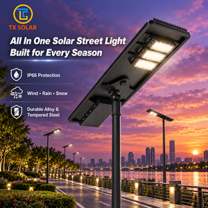 Custom OEM Solar Powered Street Lamp for Rural & Parking Lot