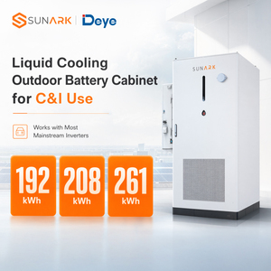 80kW 125kW Deye Hybrid Inverter Integrated Outdoor Cabinet 261kWh Energy Storage System for Commercial Solar Power Solution